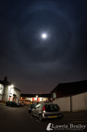 Lunar Halo
