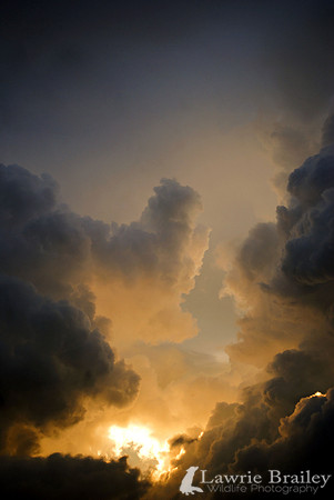 Approaching Storm