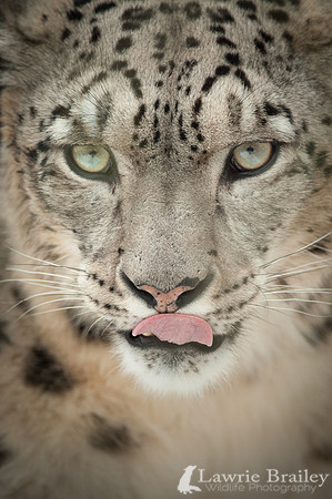 Tasty