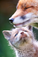 Looking up to Mum