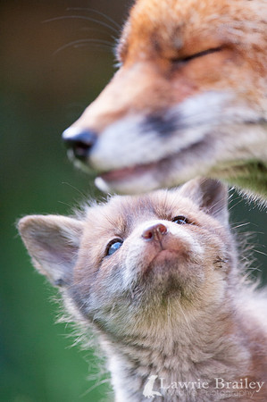 Looking up to Mum