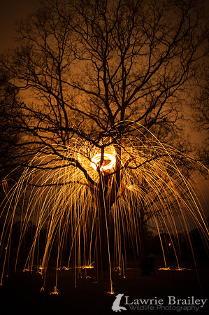 Raining Fire