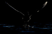 Lightplay Takeoff