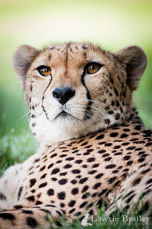 Get My Best Side