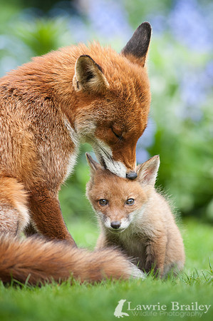 Mothering