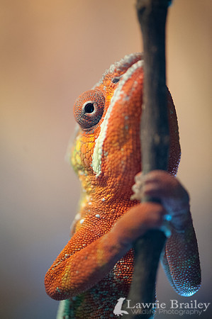 Holding On
