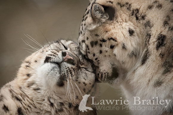 True Love